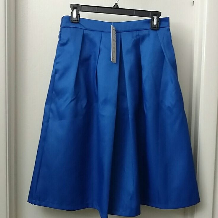 New With Tags.. Never Worn 29-30 In .,Waist Measurement 25 In.In Length Blue Relaxed Skirt For Night Out, Blue Relaxed Fit Skirt For Night Out, Blue Full Skirt Bottoms For Party, Knee-length Blue Bottoms For Party, Blue Midi Skirt For Night Out, Blue Full Skirt For Party, Knee-length Party Bottoms With Pockets, Blue Short Skirt For Night Out, Party Blue Pleated Skirt