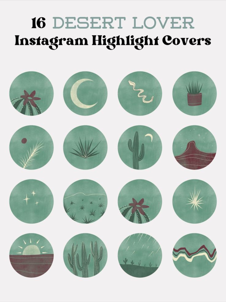 the desert cover instagramm highlight covers are green and white with cactuses, stars,