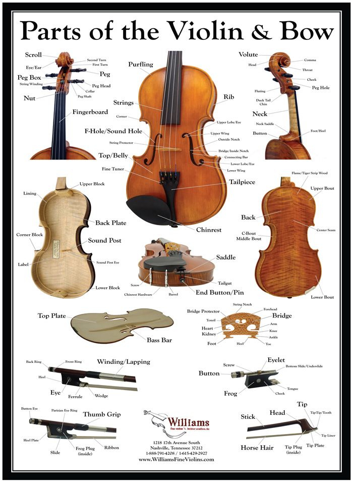 parts of the violin and bow on a white background with words below it that read parts of the violin and bow