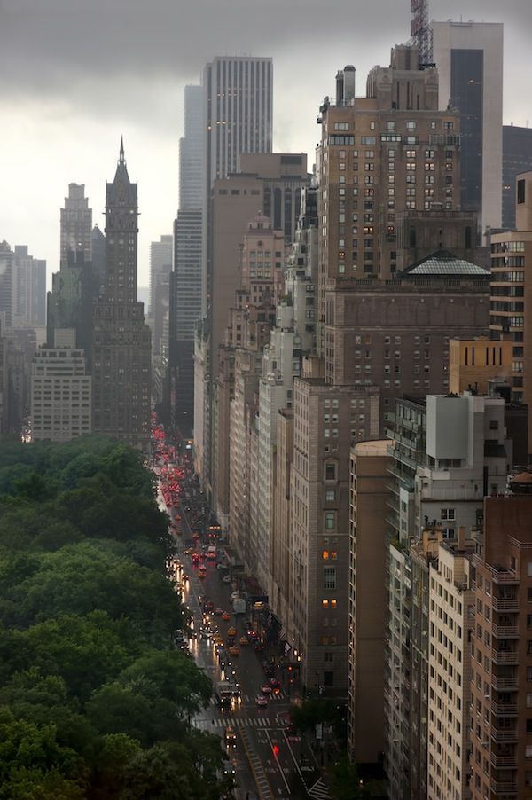 the city is full of tall buildings and green trees on both sides of the street