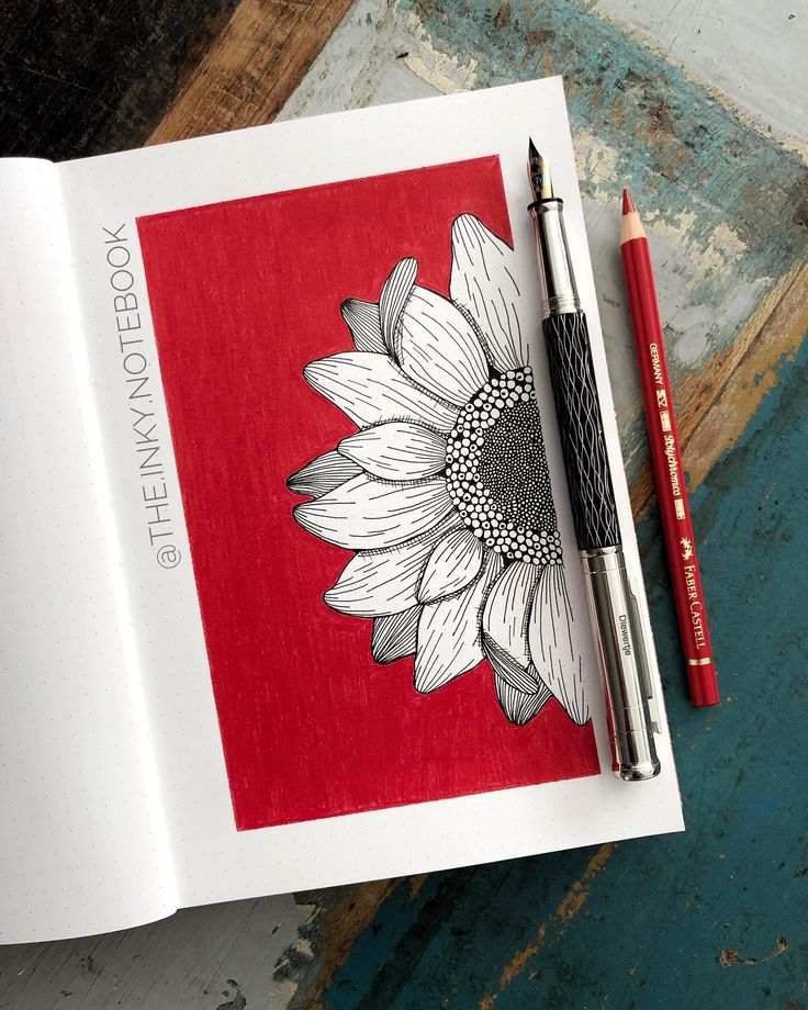 an open book with a drawing of a sunflower on it next to a pencil