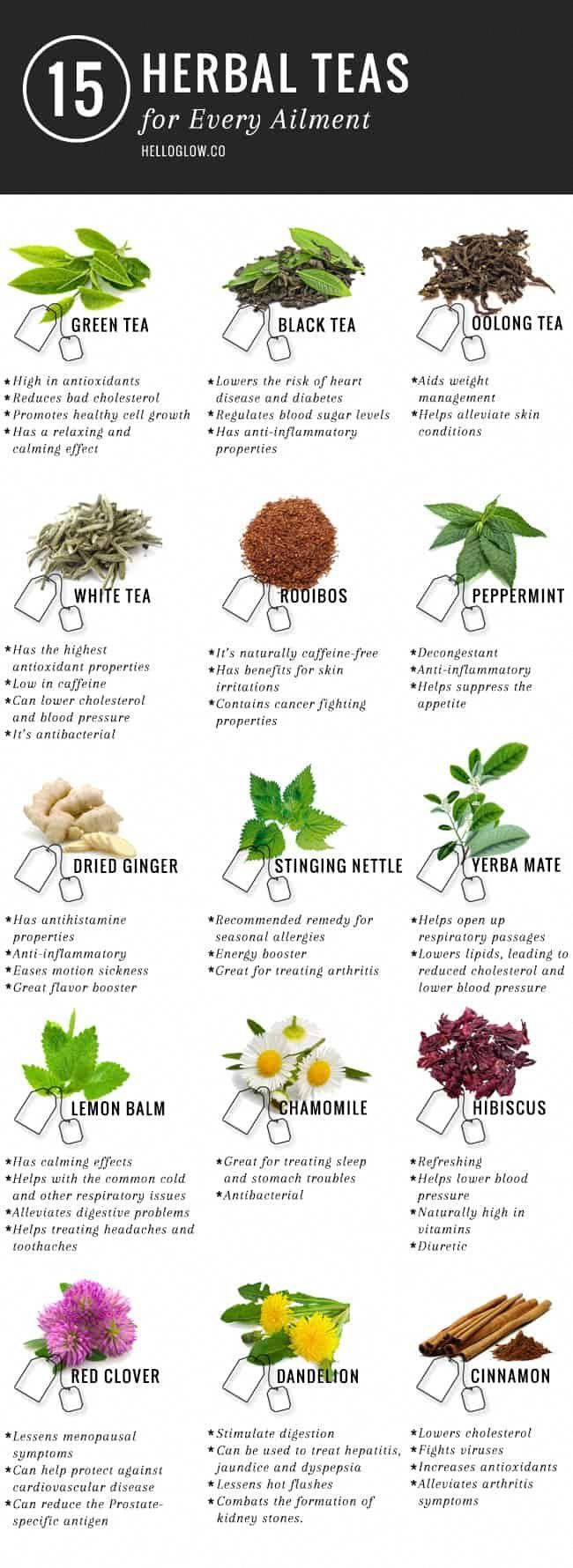 an info sheet with different types of herbs