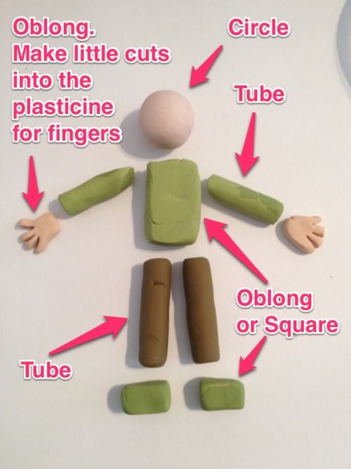 the parts of a human body on a table