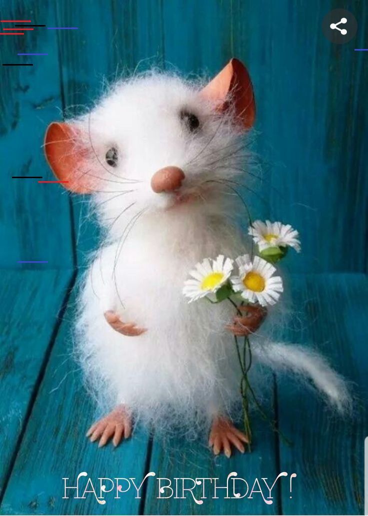 a white rat with orange ears holding flowers