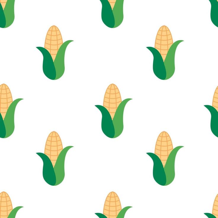 corn on the cob pattern with green leaves