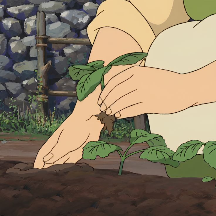 a person holding a plant in the dirt