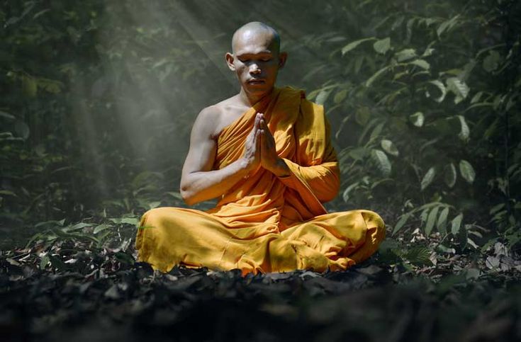 a man sitting in the middle of a forest with his hands folded up and eyes closed