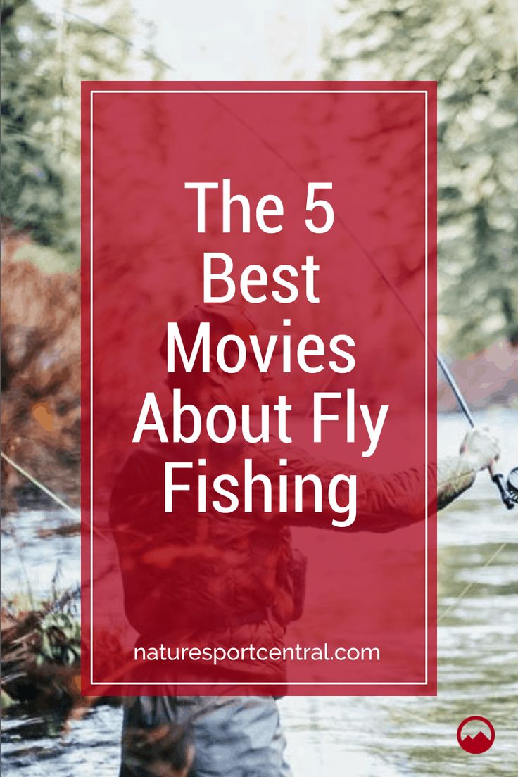 the 5 best movies about fly fishing