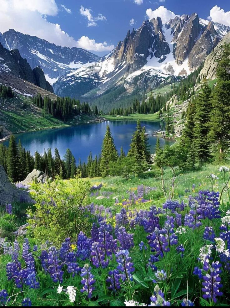 a mountain lake surrounded by wildflowers and pine trees