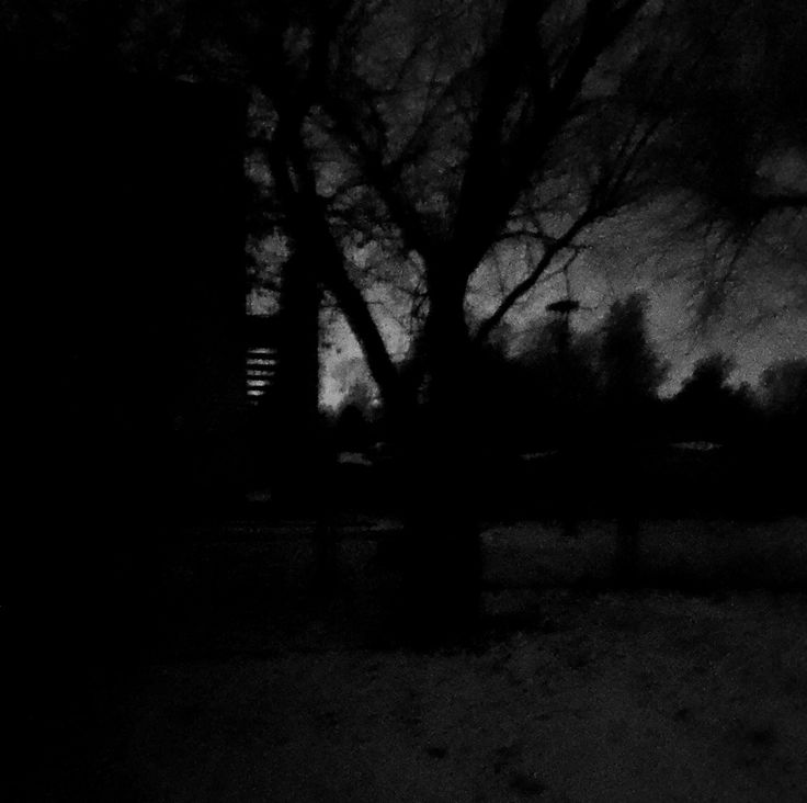 a black and white photo of a tree in the dark with no leaves on it