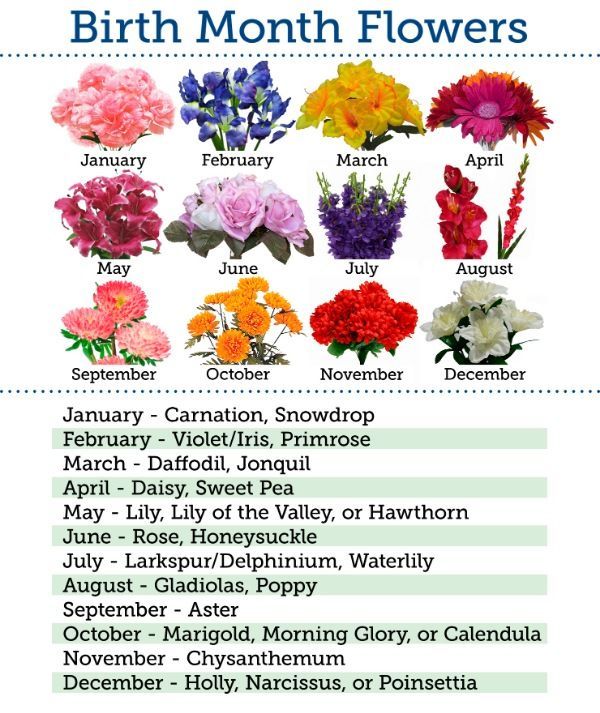 the birthday month flowers are shown in this chart