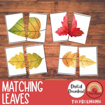 four leaf matching leaves with the words,'matching leaves'in red and yellow