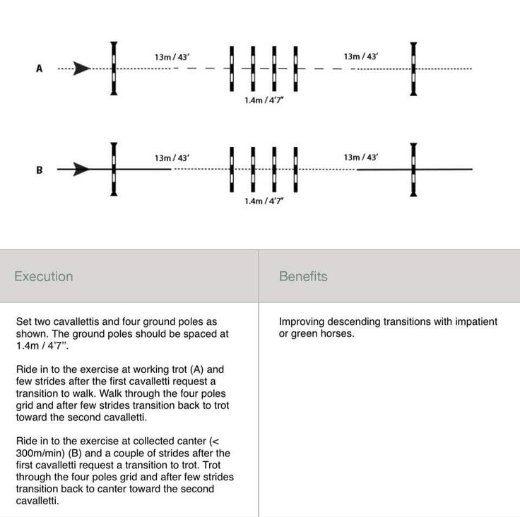 a diagram showing the direction of an event in which one person is going to go