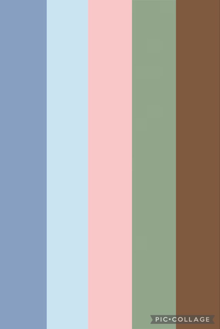 an image of the color palettes in different colors