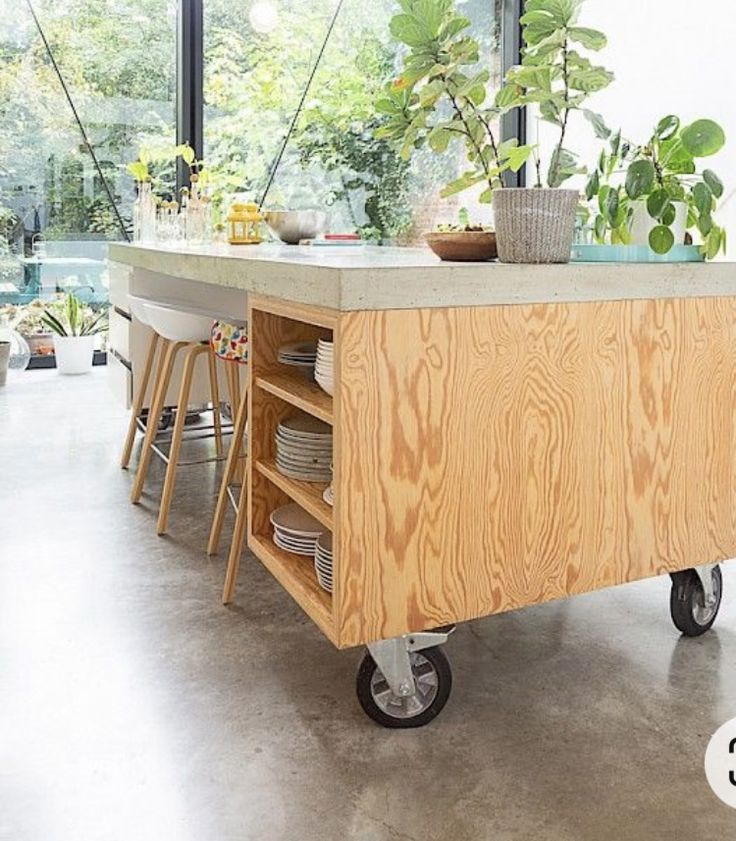 a kitchen island with lots of plants on it