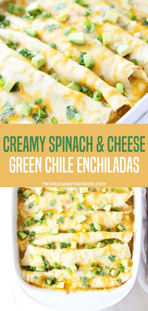 creamy spinach and cheese green chile enchiladas in a casserole dish