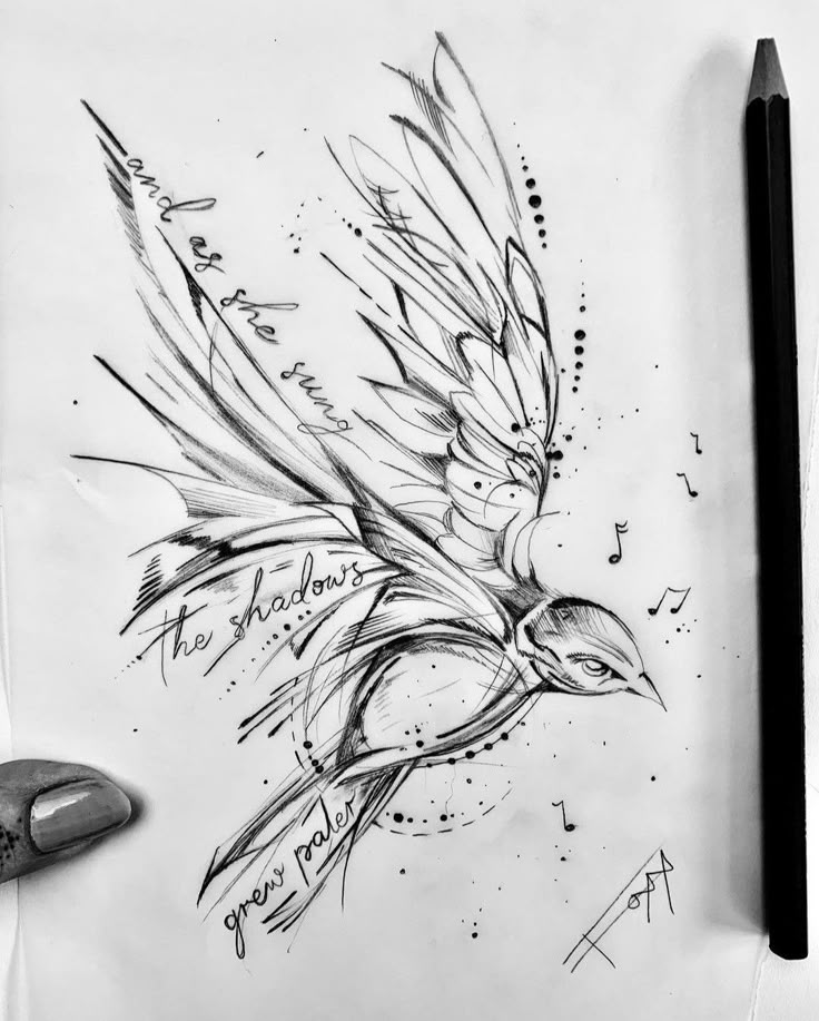 a pencil drawing of a bird with music notes on it's back and wings