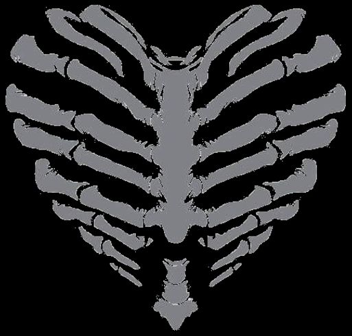 a white skeleton heart on black background with the word love written in front of it