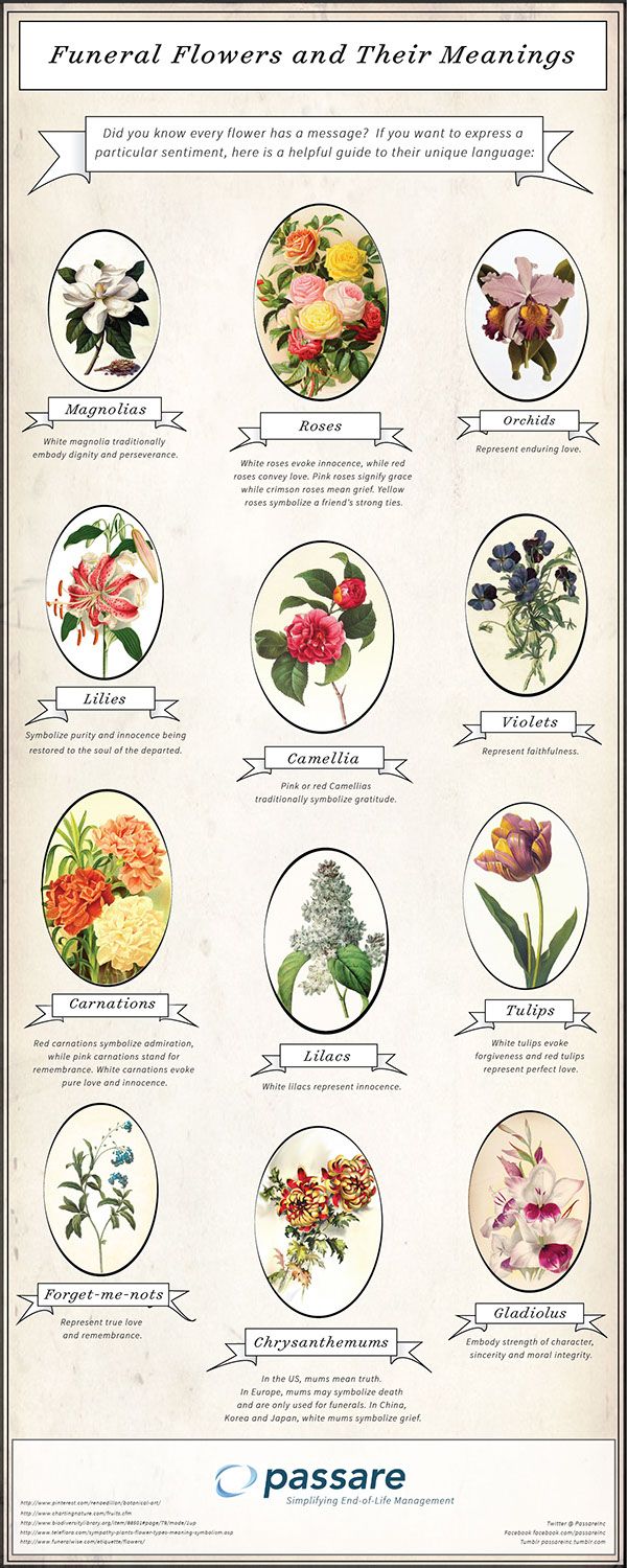 a poster with different types of flowers and their names on it's front cover