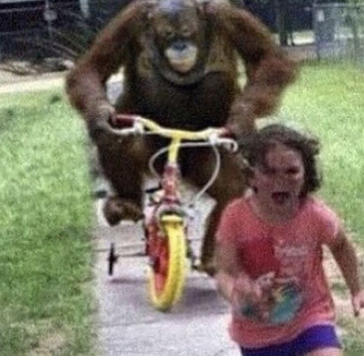 a woman running down a sidewalk next to a bear riding a bike with a girl on it