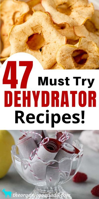 the words 47 must try dehydraator recipes are in front of an image of apples