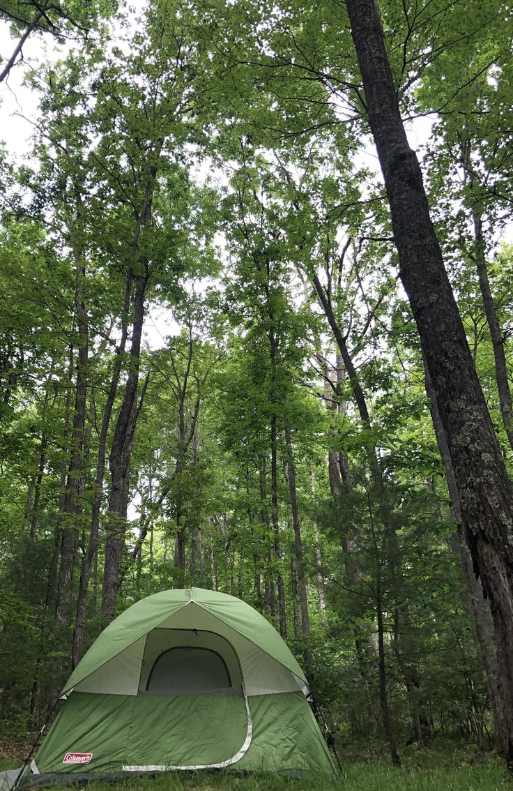 a tent pitched up in the middle of a forest