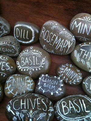 some rocks that have writing on them