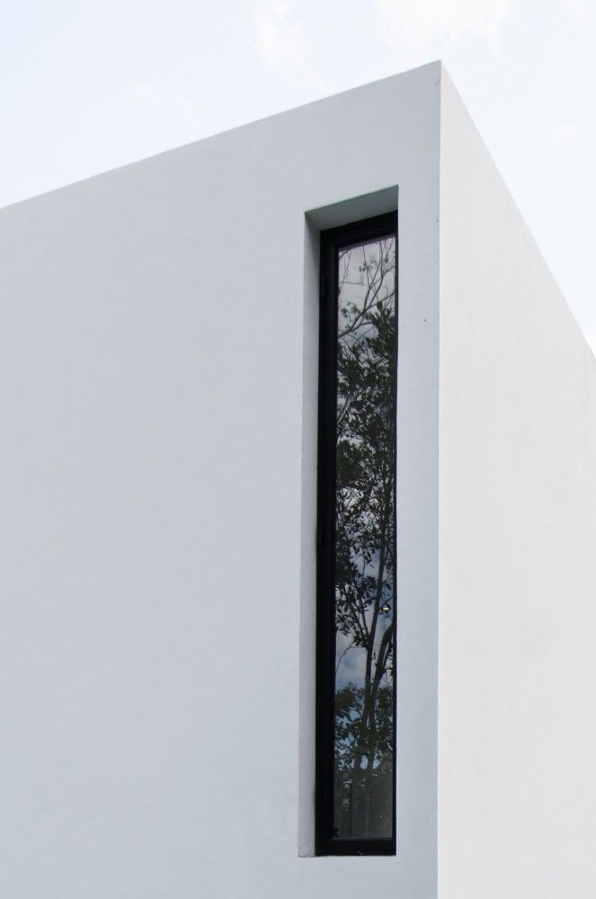 a black and white cat sitting on the ground next to a window in a building