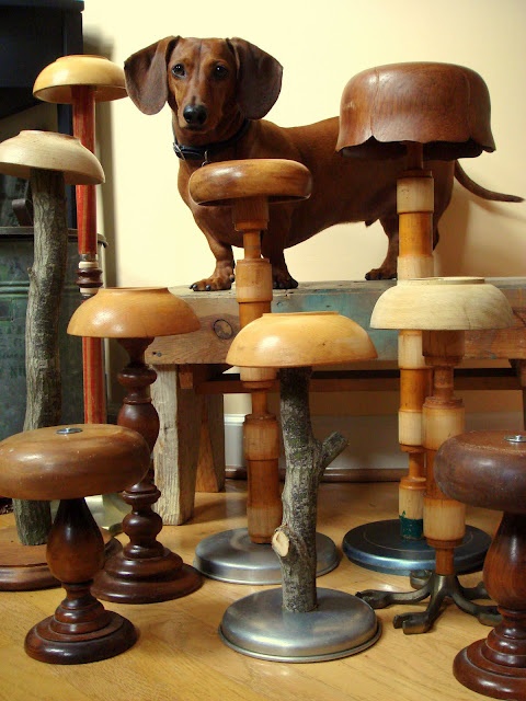 a brown dog standing on top of wooden stools