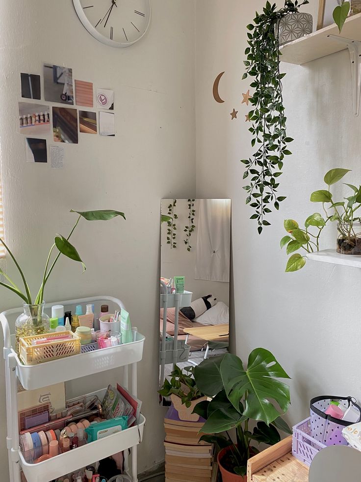 a room filled with lots of plants next to a mirror