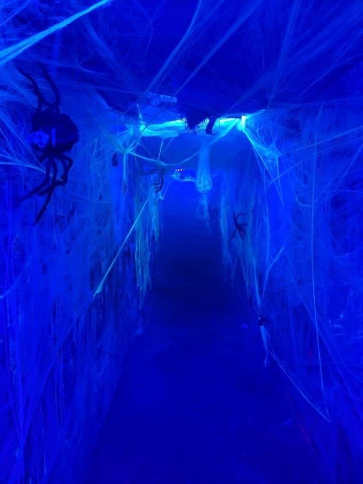 the inside of an ice cave with spider webs hanging from it's sides