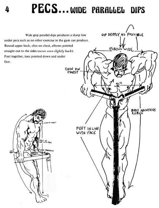 an instruction manual for how to use a pole