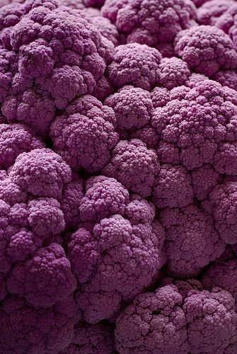 purple cauliflower is shown close up