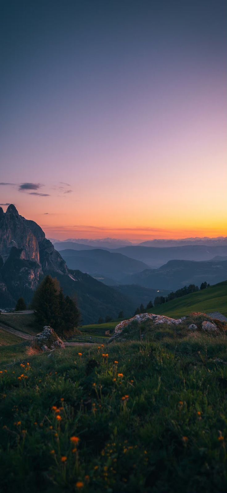 the sun is setting in the mountains with wildflowers on the grass and rocks