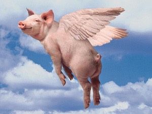 a pig flying through the air with wings