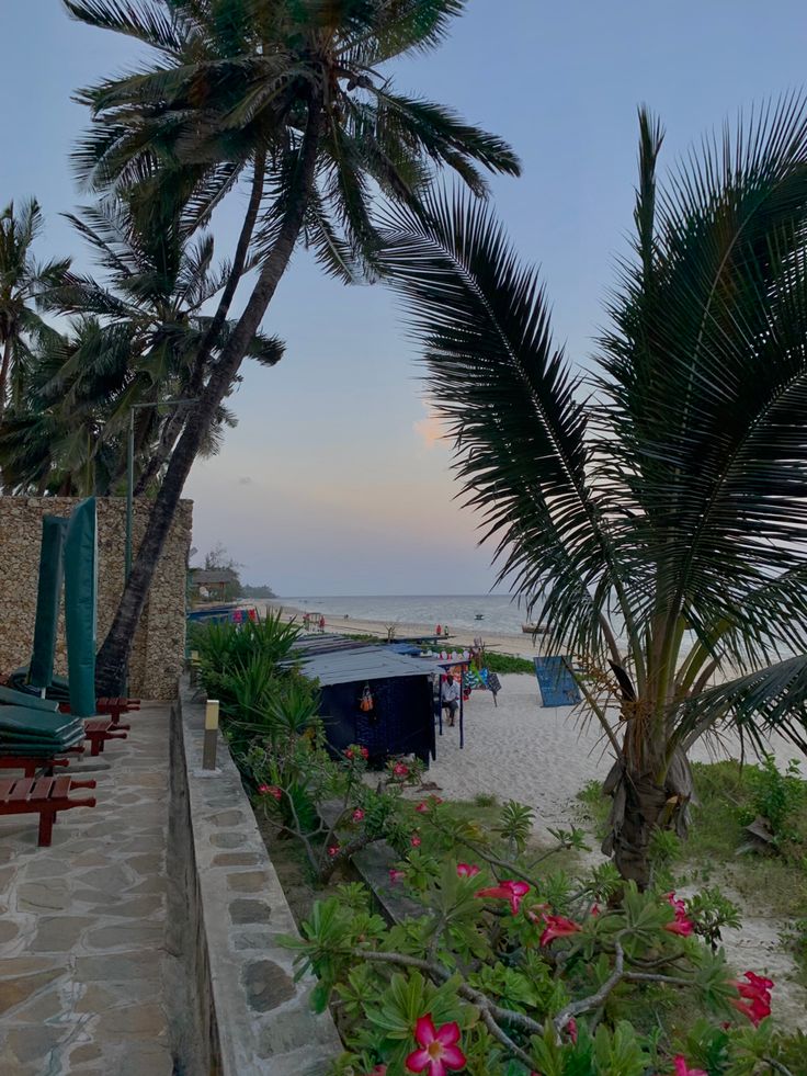 palm trees on the beach at dusk with boats in the water and people walking around