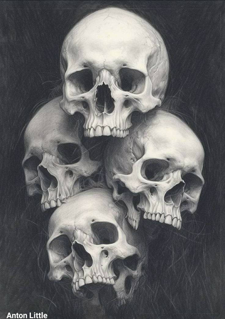 three skulls are shown in black and white