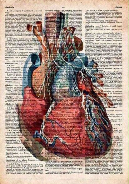 the human heart on an old book page