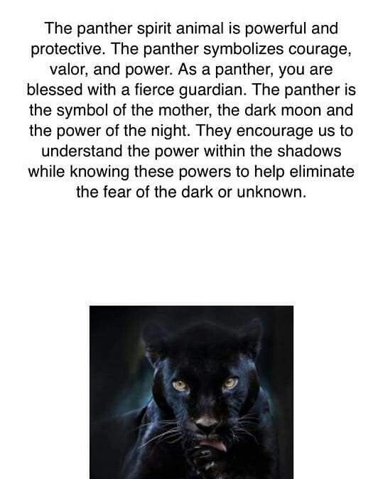 a black cat with blue eyes and the caption below it reads, ` `'the panther animal is powerful and protective