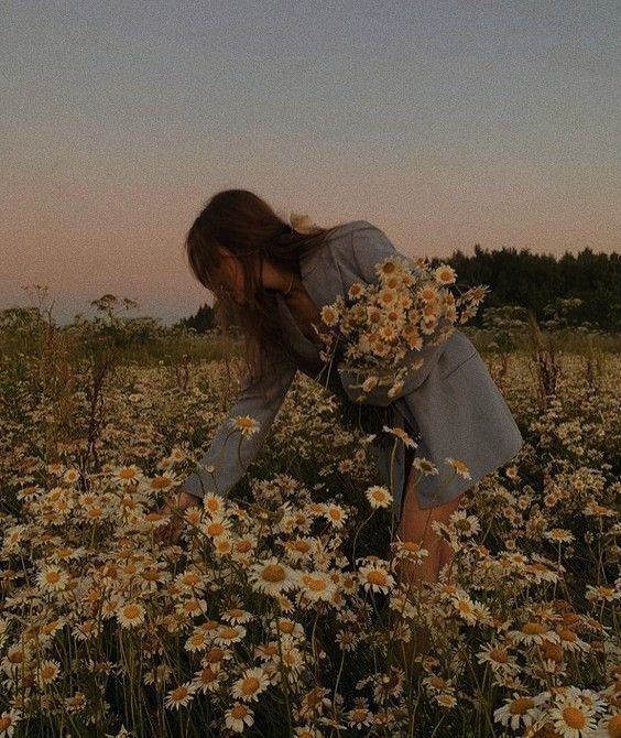 a woman kneeling down in a field of daisies