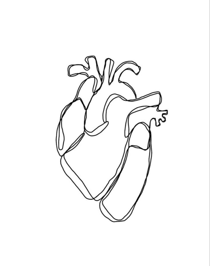 a drawing of the heart in black and white, with one line drawn to it's left side