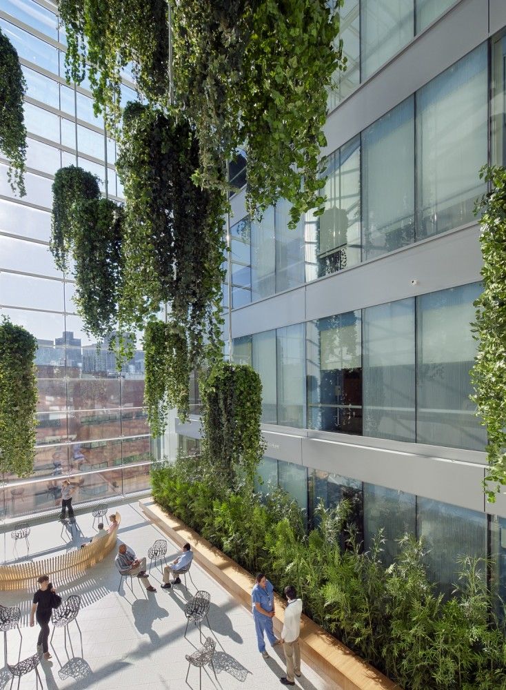 people are sitting at tables in the middle of an outdoor area with plants growing on the walls