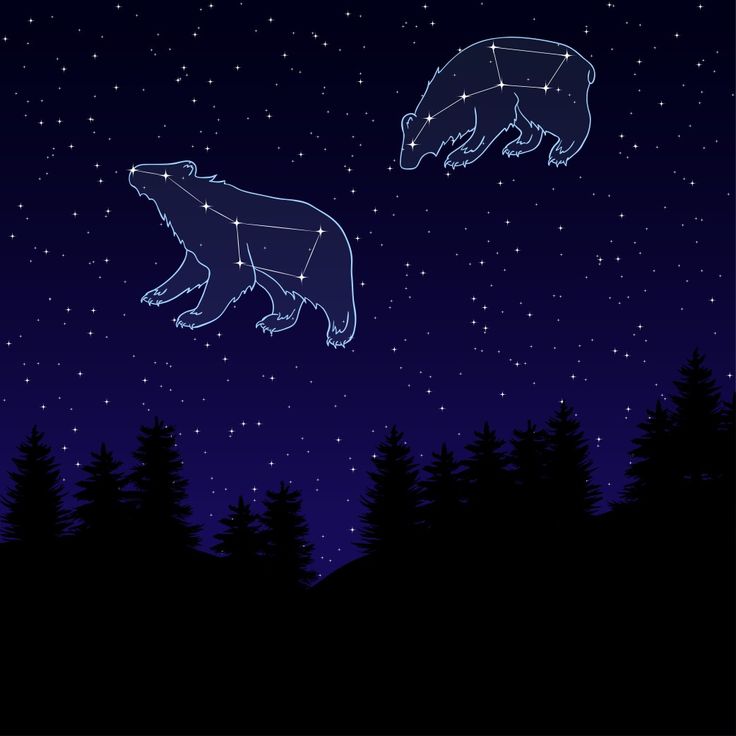 two bears in the night sky with stars above them and trees on the ground below