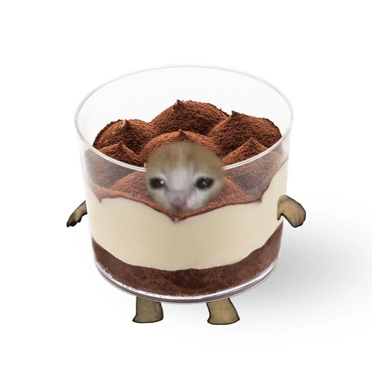 a small animal in a glass bowl filled with food