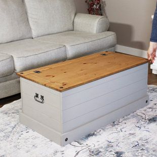 a living room with a couch, coffee table and storage box on the carpeted floor