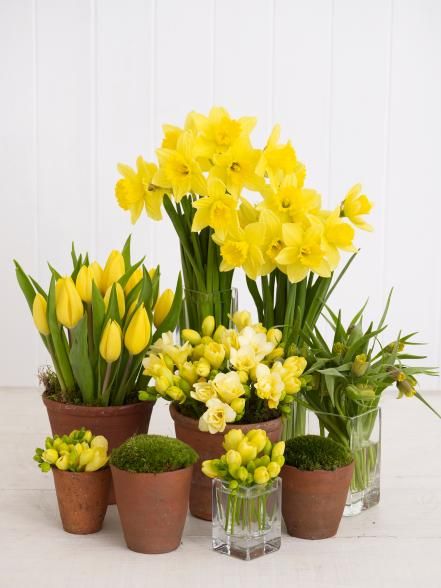 yellow daffodils and other flowers in small vases