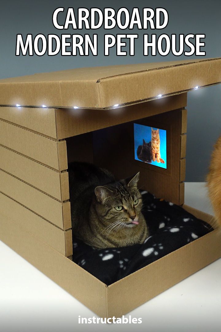 a cat sitting in a cardboard house with the caption cardboard modern pet house