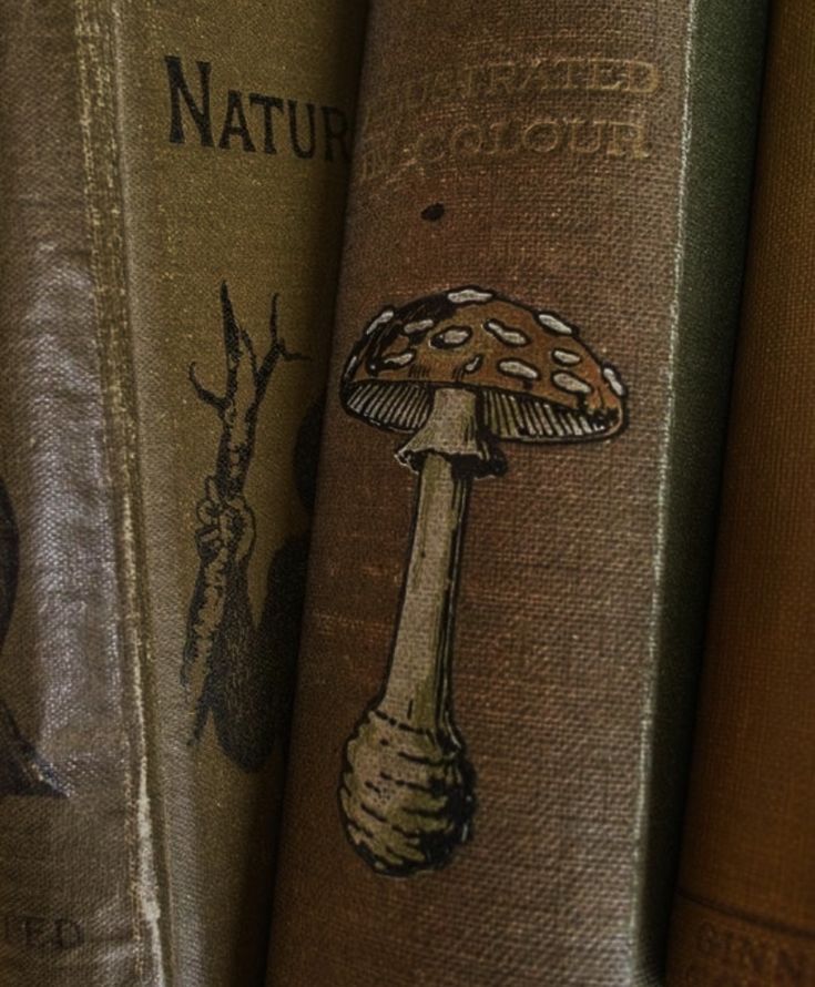 the books are lined up on top of each other, and there is an image of a mushroom