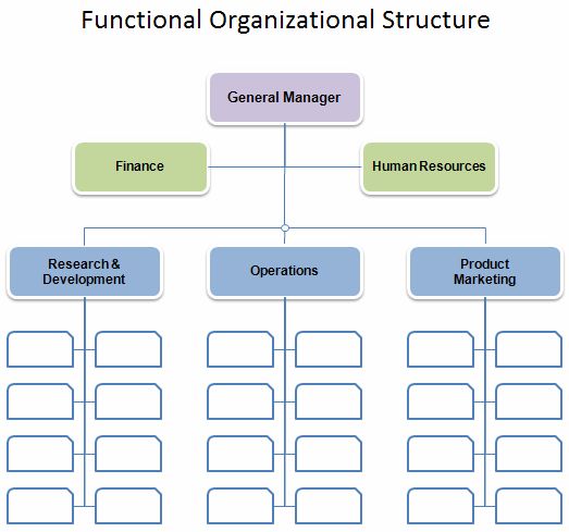 the organizational structure for an organization is shown in this diagram, which shows how to use it