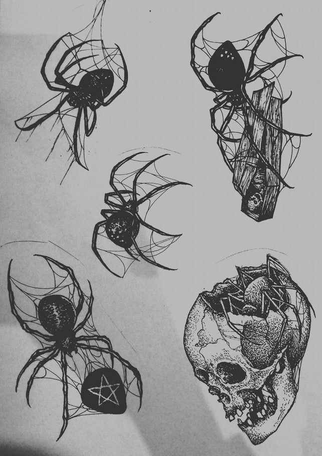 four different types of spider webs on a piece of paper with the same drawing